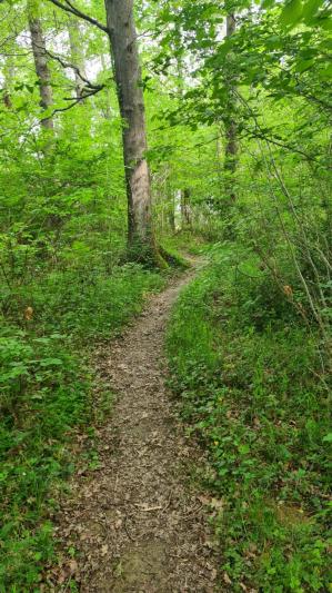 Sentier 1